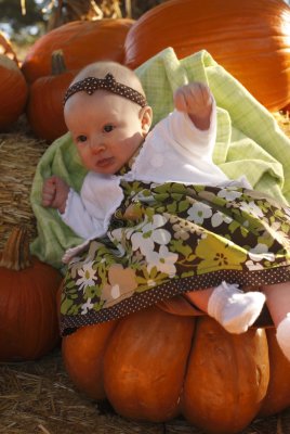 On the Pumpkin...