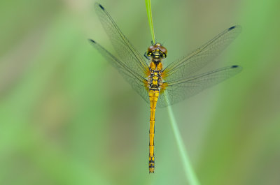 g1/75/583275/3/127830594.ph8gsjpQ.jpg