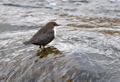 DS3_3542.jpg