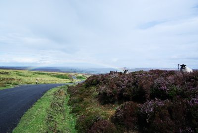 North Yorkshire