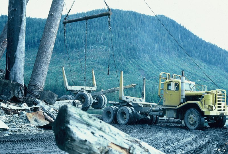 Pats creek log dump