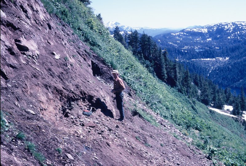Lee Meyers at the epidote diggs