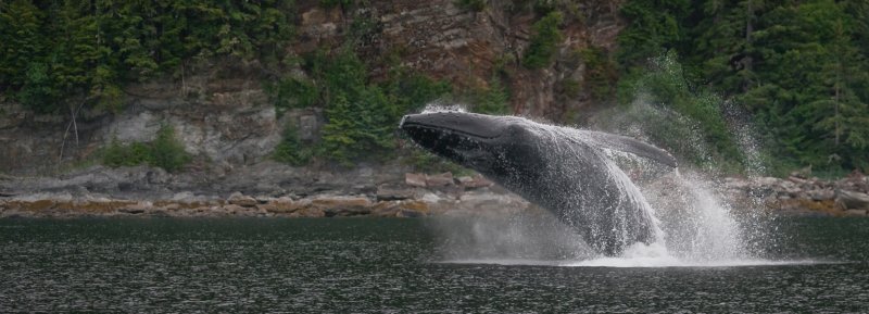breach 09-9541 1200.jpg