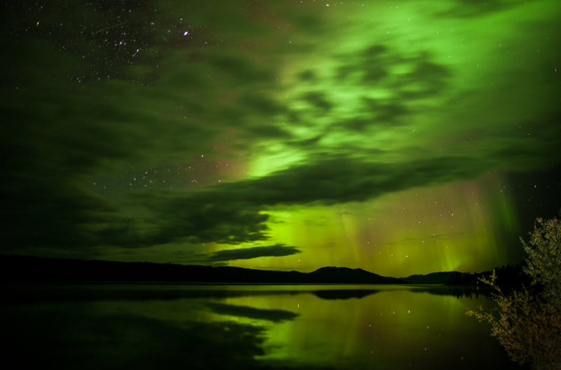 whitehorse lights-8458.jpg