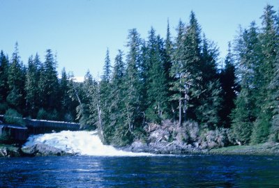 Mill Creek in the back channel