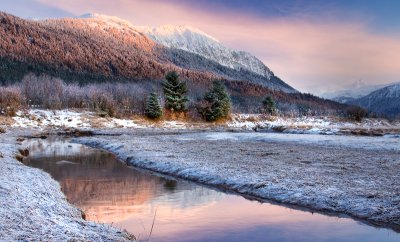 Frosty Morning