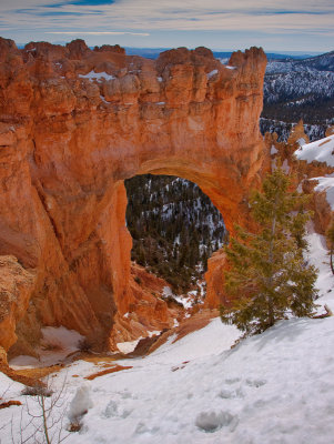 Bryce canyon Utah