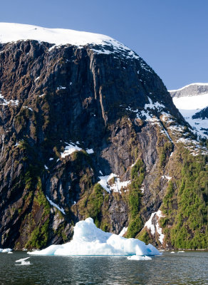 tracy arm-2020 800.jpg