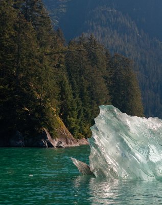 Tracy Arm September-1538.jpg