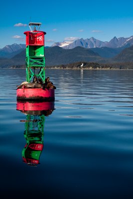 poundstone buoy-0141.jpg