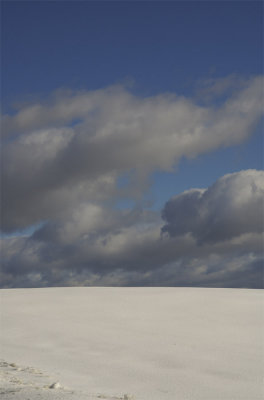 Snow Field