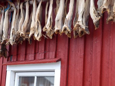 Henningsvr Lofoten