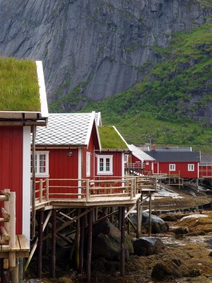 Reine Lofoten