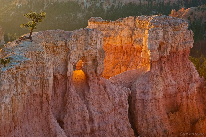 Bryce Canyon