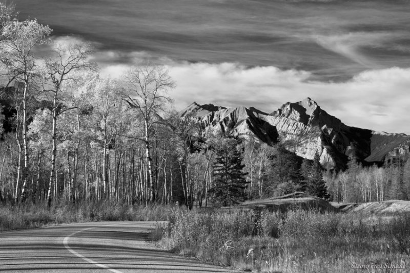 Snaring Road in Monochrome