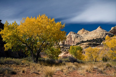 Navajo Dome