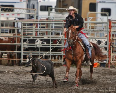 Tie Down Roping I