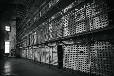 g1/75/646675/3/126985671.gpbl9L9b.jpg