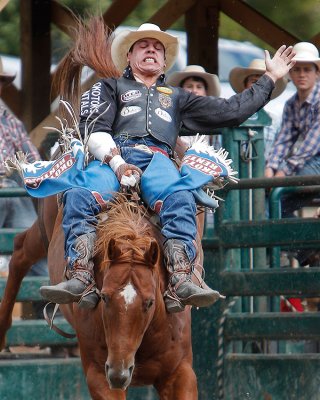 Bareback Daredevil