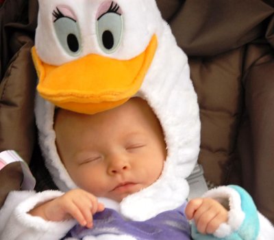 Sleeping Duck