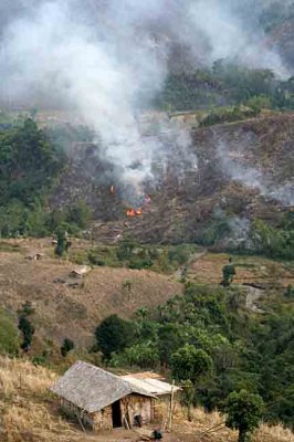 Everywhere in Mon District the hills are set on fire for new crops to be sown later.