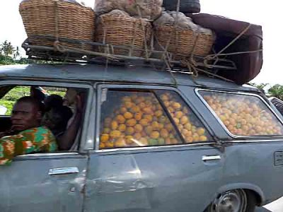 Transport of oranges.