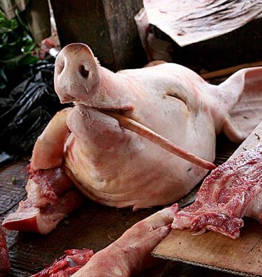 Pig`s head and tail, symbolizing a whole pig, are offered to the spirits.