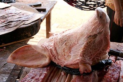 The pig`s head is covered, this means it is clean.