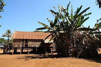 Kreung community house with sacred banana plant in Kameng, Cambodia.
