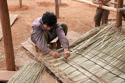 Every one or two years a traditional Phnong house needs a new roof. Pu Lang Village II, Mondulkiri, Cambodia