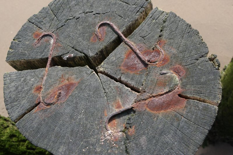 Breskens033.jpg