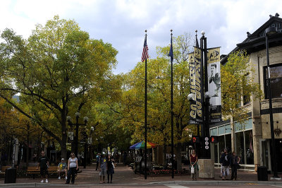 Fall colors at Pearl St in Boulder