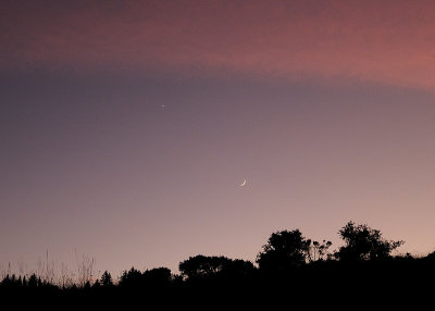 Venus, Jupiter and the Young Moon setting