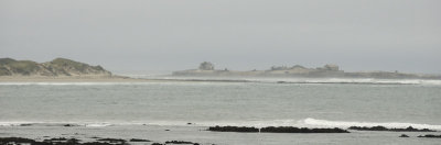 Ano Nuevo Island