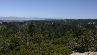 Top of the Ridge with a view of Big Basin SP