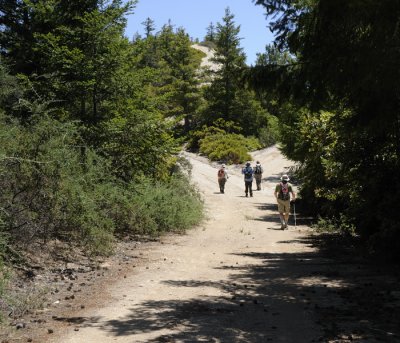 Fork to the Westridge Trail