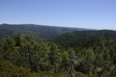 Big Basin SP