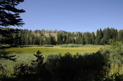 Lytton Lake