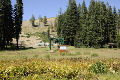 The backside of the Donner Ski Ranch Lift