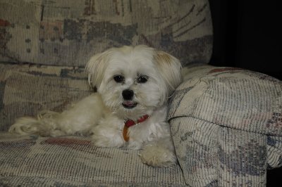 Buffy
