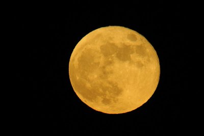 The Strawberry Full Moon