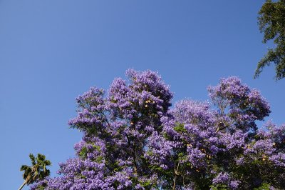 Blue on Blue
