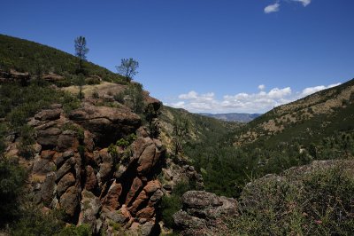 View Back