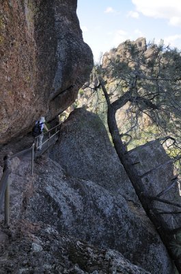 Narrow Trail under the High Peaks