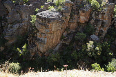 Looking down the Canyon