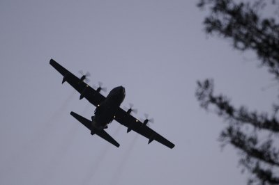 Buzzing the neighborhood
