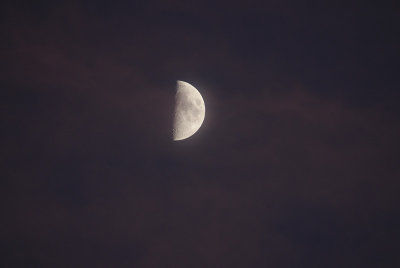 The Quarter Moon at Sunset