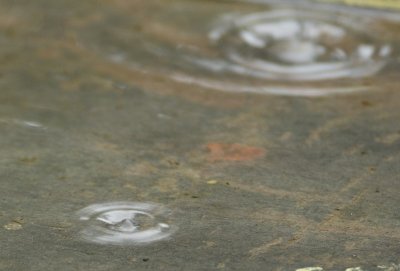 Raindrops