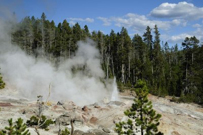 Steamboat Spring  at Norris Geyser Basin