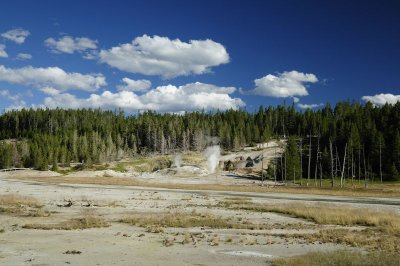 Porecelain Basin at Norris Geyser Basin